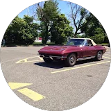 Carl Schiller profile picture